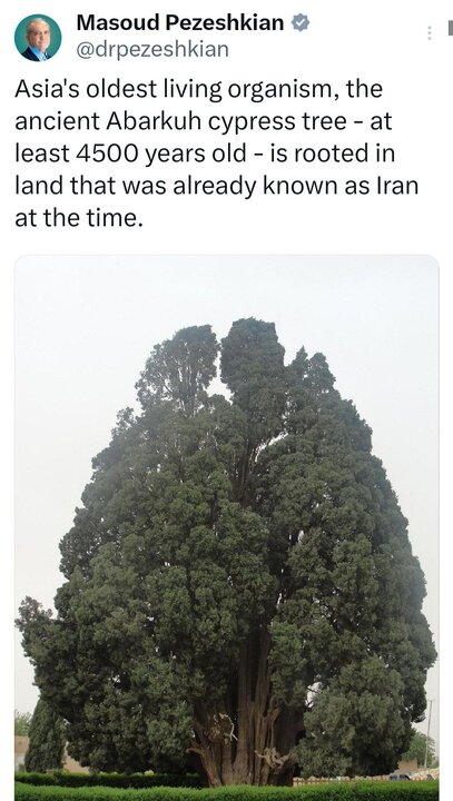 63834159
