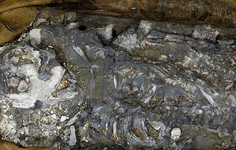 فسیل ۷۲۰۰ ساله زنی با DNA سالم کشف شد