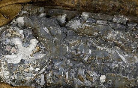 فسیل ۷۲۰۰ ساله زنی با DNA سالم کشف شد
