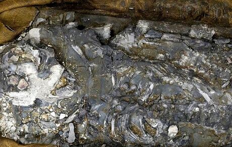 فسیل ۷۲۰۰ ساله زنی با DNA سالم کشف شد
