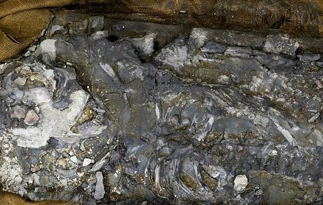 فسیل ۷۲۰۰ ساله زنی با DNA سالم کشف شد