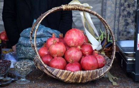 جشنواره انار پاوه آغاز شد