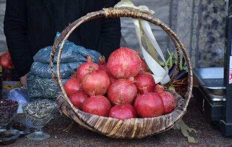 جشنواره انار پاوه آغاز شد