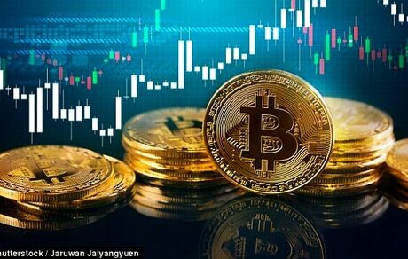 استخراج ۴ تا ۶درصد از رمزارز‌های جهان در ایران