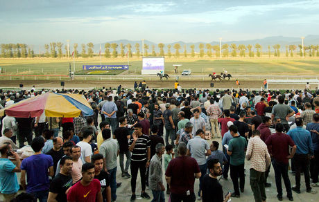 تعویق ۲ هفته‌ای مسابقات کورس اسبدوانی بهاره - تابستانه گنبدکاووس