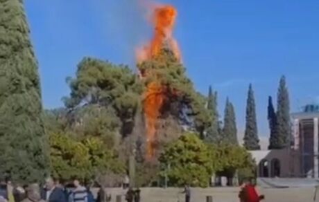 جزئیات آتش سوزی آرامگاه سعدی اعلام شد