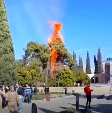 جزئیات آتش سوزی آرامگاه سعدی اعلام شد