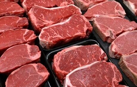 آغاز توزیع گوشت گرم وارداتی