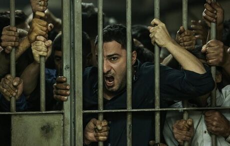 تقدیر ویژه هیات داوران جشنواره زوریخ از «متری شیش و نیم»