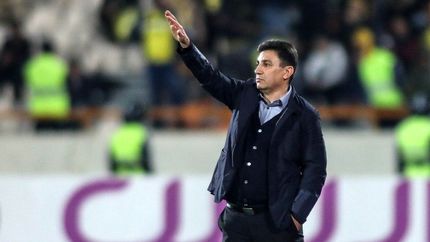 قلعه‌نویی: «ویلموتس خونسرد» انتخاب خوبی برای تیم ملی نبود
