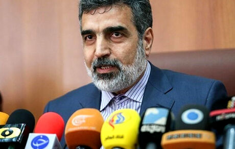 کمالوندی: رفع تحریم تسلیحاتی، درخششی برای دیپلماسی جمهوری اسلامی است