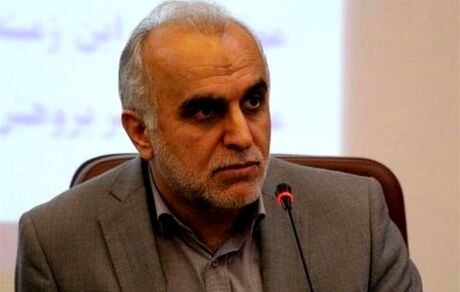 دژپسند: برنامه اجرایی اصلاح نظام بانکی به رئیس جمهوری تقدیم شد
