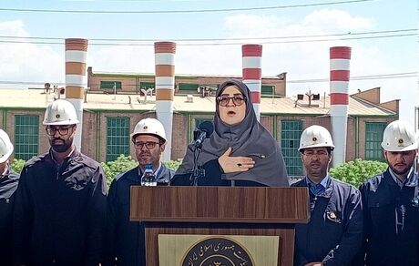 سخنگوی دولت: تقسیم کاری ملی انجام شده است / اینترنت پرو با مصوبه شورای عالی امنیت ملی ایجاد شد