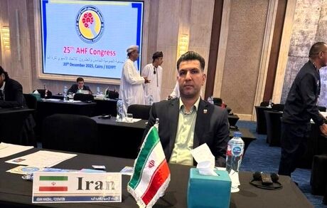یک ایرانی، نائب رئیس کنفدراسیون هندبال آسیا شد