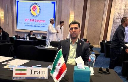 یک ایرانی، نائب رئیس کنفدراسیون هندبال آسیا شد