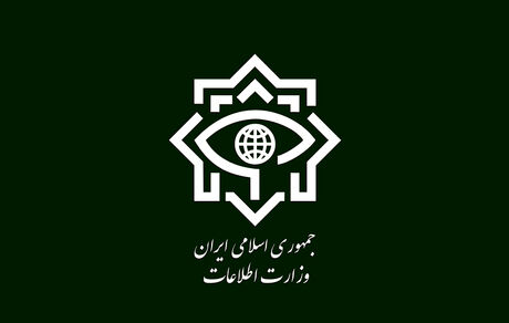 دستگیری اعضای شبکه اخلال در حوزه گندم توسط سربازان گمنام گلستان