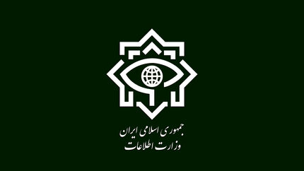 دستگیری اعضای شبکه اخلال در حوزه گندم توسط سربازان گمنام گلستان