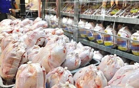 تولید مرغ از نیاز کشور پیشی گرفت/ آرامش بازار در شب عید