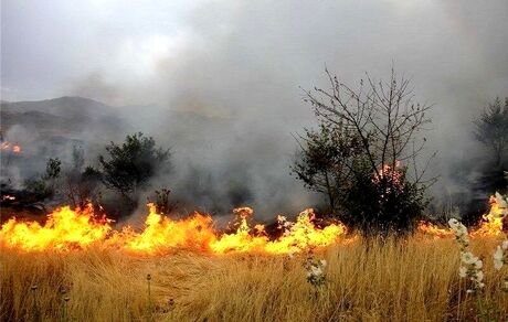 مهار آتش‌سوزی مزارع و مراتع شهرستان دنا