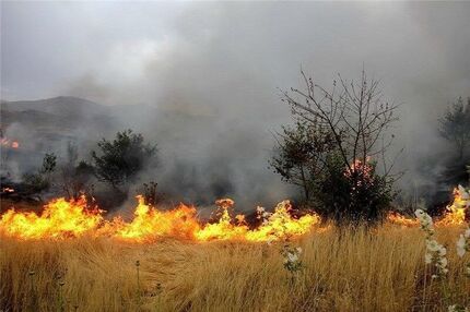 مهار آتش‌سوزی مزارع و مراتع شهرستان دنا