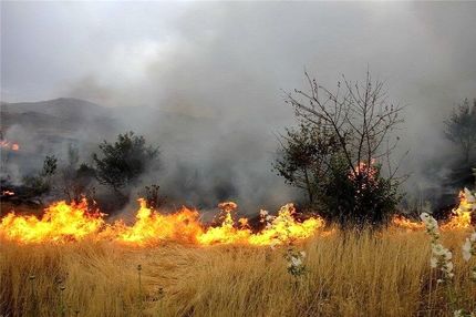 مهار آتش‌سوزی مزارع و مراتع شهرستان دنا