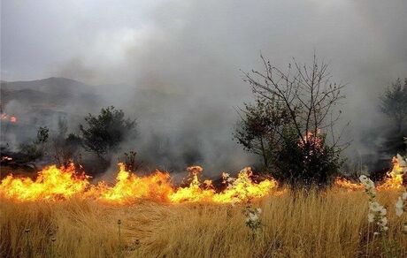 مهار آتش‌سوزی مزارع و مراتع شهرستان دنا