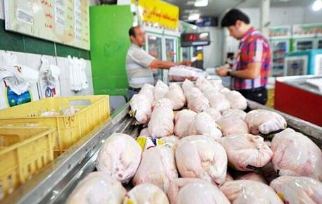 مرغداران موظف به تثبیت قیمت مرغ تا فروردین ۱۴۰۳ شدند