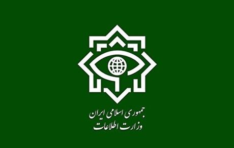 وزارت اطلاعات، شبکه بین‌المللی توزیع موادمخدر را متلاشی کرد