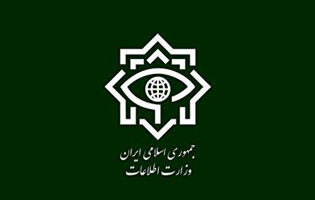 وزارت اطلاعات، شبکه بین‌المللی توزیع موادمخدر را متلاشی کرد