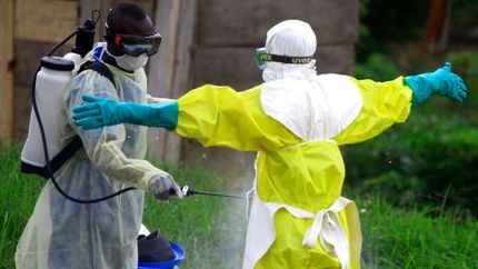 بیماری مرموز در کنگو، ۵۰ نفر را به کشتن داد / باز هم پای خفاش در میان است