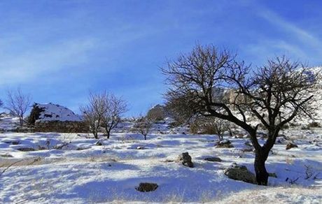 هشدار هواشناسی: یخبندان در 24 استان و آلودگی هوا در برخی کلانشهرها / سامانه بارشی تازه در راه است