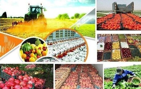 صادرات ۶ میلیارد دلاری محصولات کشاورزی ایرانی به بازارهای خارجی