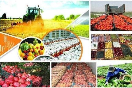 صادرات ۶ میلیارد دلاری محصولات کشاورزی ایرانی به بازارهای خارجی