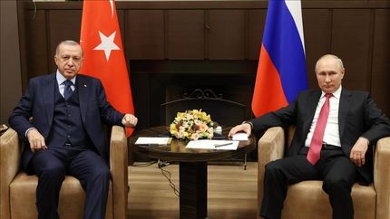 اردوغان خواستار آتش بس فوری بین روسیه و اوکراین شد