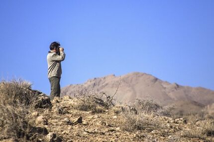  ۲ محیط‌بان در استان زنجان به شهادت رسیدند