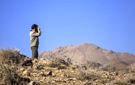  ۲ محیط‌بان در استان زنجان به شهادت رسیدند