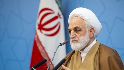 قاضی و وکیل باید فهم و درک سیاسی داشته باشند، اما سیاسی کاری نکنند