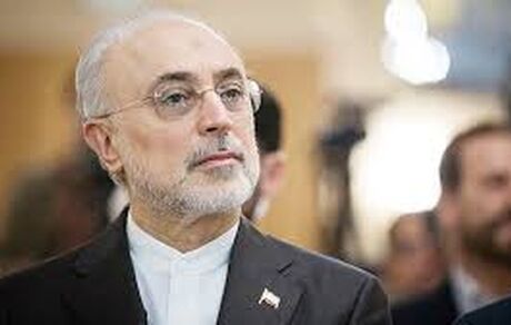 آمریکا «علی‌اکبر صالحی» را تحریم کرد