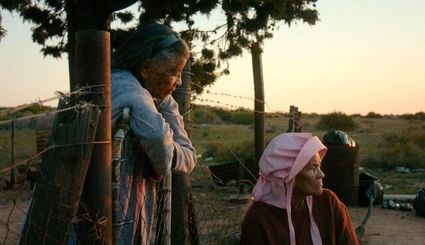 برندگان جشنواره روتردام ۲۰۲۶ اعلام شدند