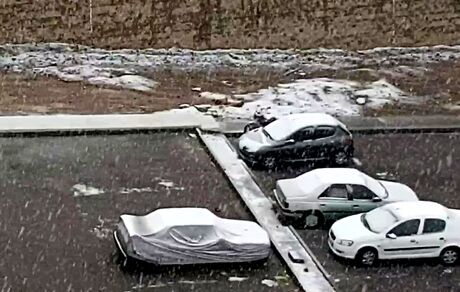 بارش شدید برف در شرق تهران / ویدئو
