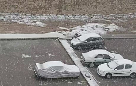 بارش شدید برف در شرق تهران / ویدئو