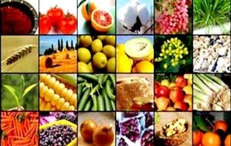 واگذاری وظایف واردات، صادرات و تصمیم‌گیری در بخش کشاورزی به تشکل‌ها