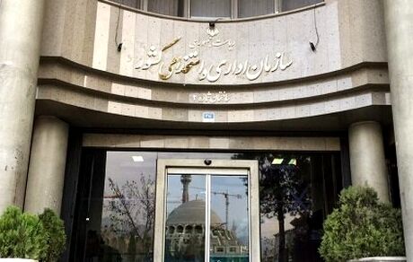افزایش ۲۰ درصدی رفاهی کارکنان دولت