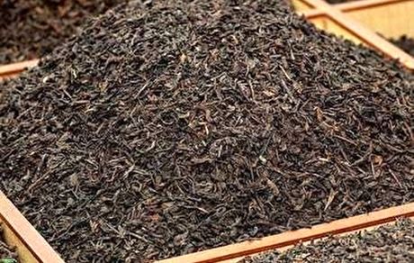 واردات چای نصف شد