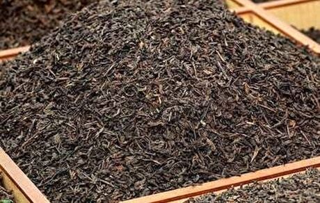 واردات چای نصف شد