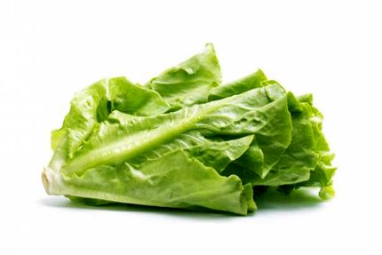  سبزی قاتل چاقی ، افسردگی و آلزایمر و استرس