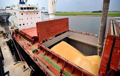 هر ۵ روز یک کشتی گندم وارد بندرامام میشود