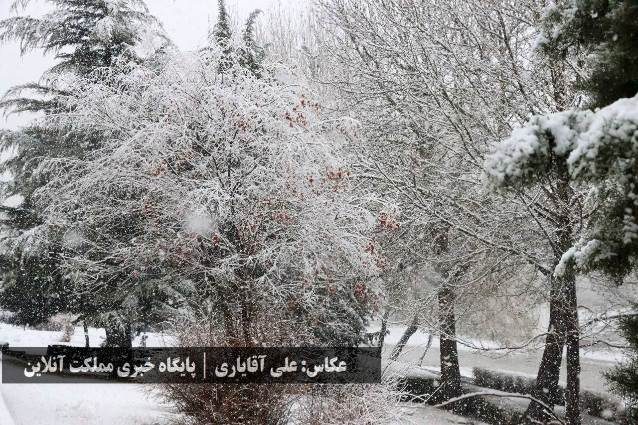 طراوت زمستانی ارومیه با اولین برف سال