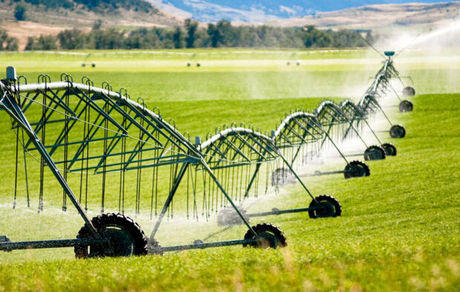 ورود کمیسیون اصل نود به استفاده از آب‌های آلوده برای مصارف کشاورزی غذایی