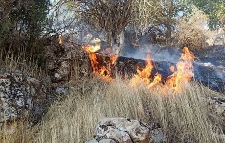 منطقه حفاظت‌شده «سیوک» بویراحمد هم در آتش سوخت